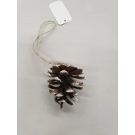 Austriaca hanger loop (pinus nigra) white tip