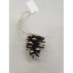 Austriaca hanger (pinus nigra) white tip