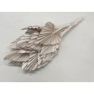 Palm spear white wash 20pcs