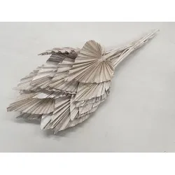 Palm spear white wash 20pcs