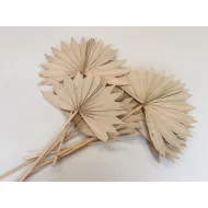 Palm sun naturel 10pcs