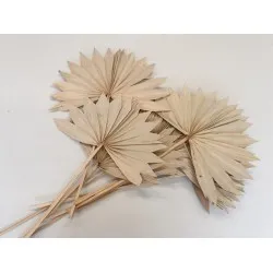 Palm sun natural 10pcs