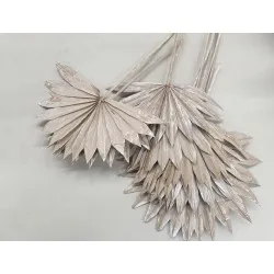 Palm sun white wash 10pcs