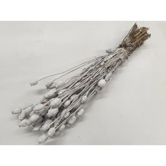 Pavot white wash