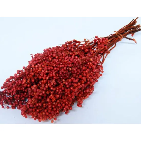 Pepperberry rouge