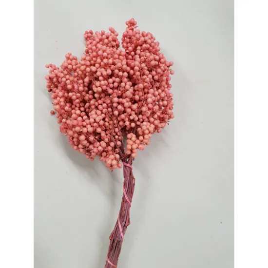 Pepperberry rose