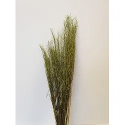 Sarash bunch appelgroen +/-110cm +/-100gr