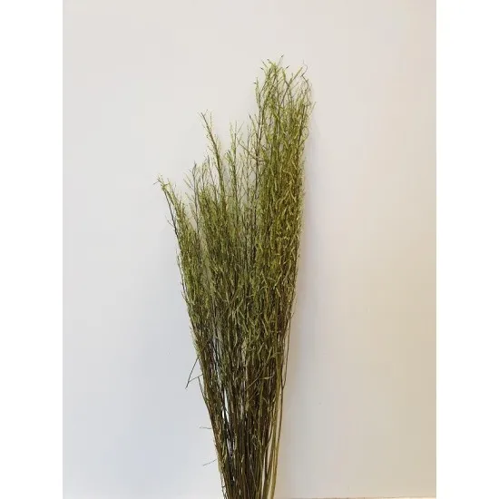 Sarash bunch appelgroen +/-110cm +/-100gr