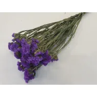 Statice sinuata bleu naturel