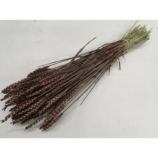 Wheat dark brown
