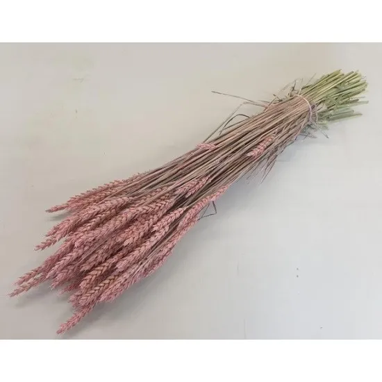 Tarwe frosted pink