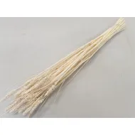 Tarwe gebleekt +/-100gr