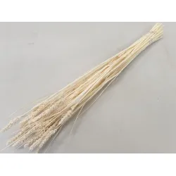 Ble (triticum) blanchi +/-100gr