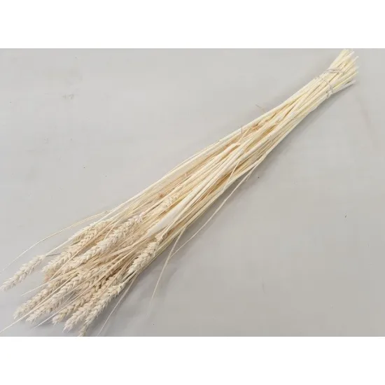 Ble (triticum) blanchi +/-100gr