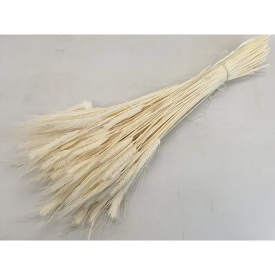 Triticale gebleekt
