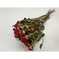 Roses spray orange naturel