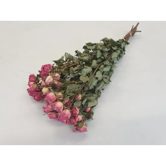 Spray roses pink natural