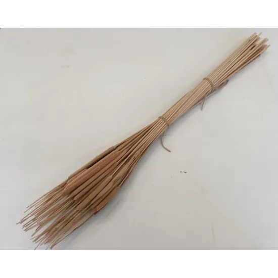 Typha groot naturel +/- 50st