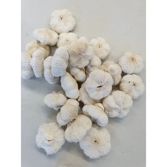 Wild apple mini gebleekt +/-250gr