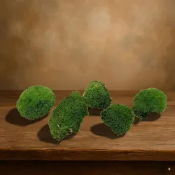 Ball moss preserved medium green consumer packaging