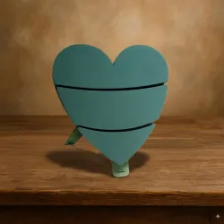 Oasis bioline coeur 60x60x5.5cm 1pc