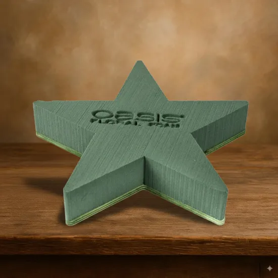 Oasis bioline ster 25x25x4.5cm 1st