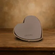 Oasis biolit bio hart 25.5x28x4cm 1st