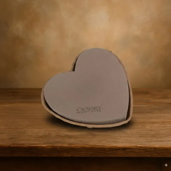 Oasis biolit bio coeur 25.5x28x4cm 1pc
