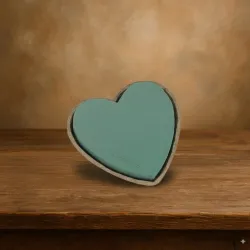 Oasis biolit coeur 25cm 1pc