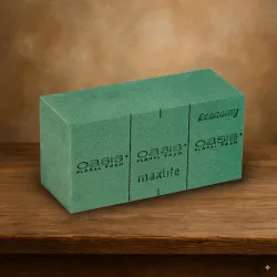 Oasis brique economy 20x10x8cm 1pc