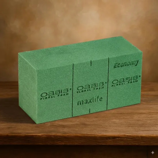 Oasis economy brick 20x10x8cm 20pcs