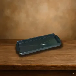 Oasis brick tray 26x12cm vert 1pc