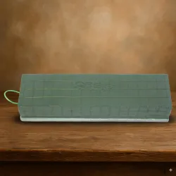 Oasis ecobase raquette 70x11x8.5cm (3/1) 1st