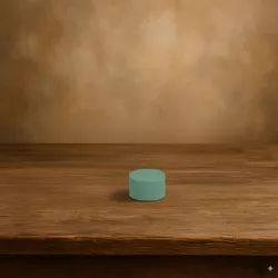 Oasis ideal cylindre 8x6cm 1pc