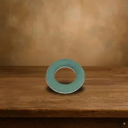 Oasis ideal ring 15cm 1st