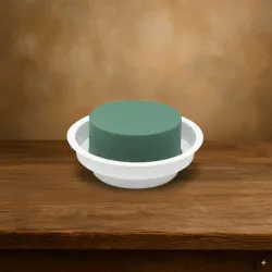 Oasis junior complet 1pc