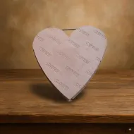 Oasis naylorbase bio coeur 33x33cm 1pc