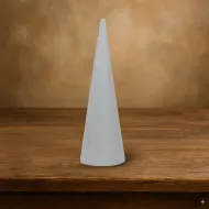 Oasis sec cone 10x32cm 1pc