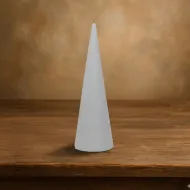 Oasis sec cone 8x24cm 1pc