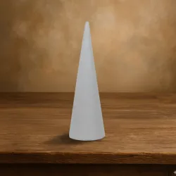 Oasis sec cone 8x24cm 1pc