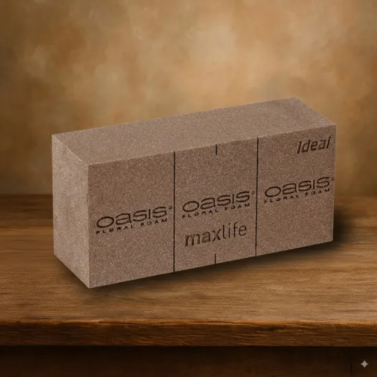 Oasis blok bio 23x12x8cm 20st