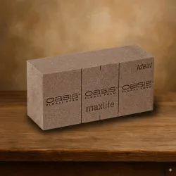 Oasis brique bio 23x12x8cm 35pcs