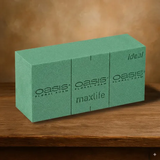 Oasis brique ideal mousse florale  23x11x8cm 20pc