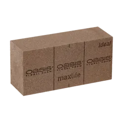 Oasis brique bio 23x12x8cm 20pcs