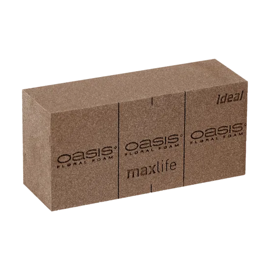 Oasis blok bio 23x12x8cm 20st